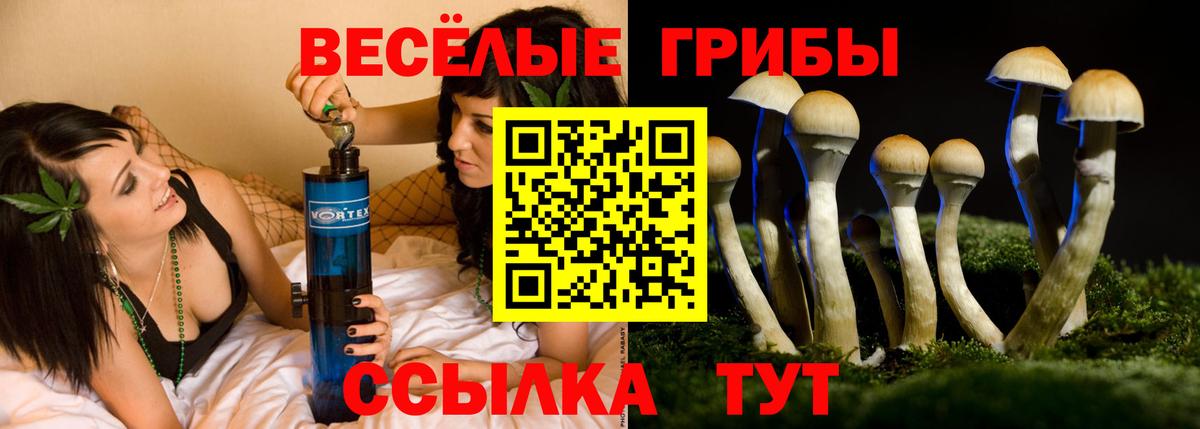 Псилоцибиновые грибы Psilocybe  Вход с VPN  Свободный  Псилоцибиновые грибы Cubensis 